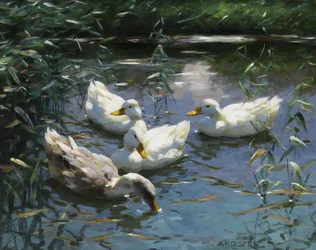 Four Ducks in the Pond